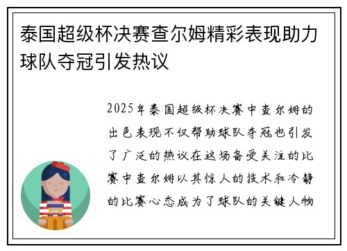 泰国超级杯决赛查尔姆精彩表现助力球队夺冠引发热议
